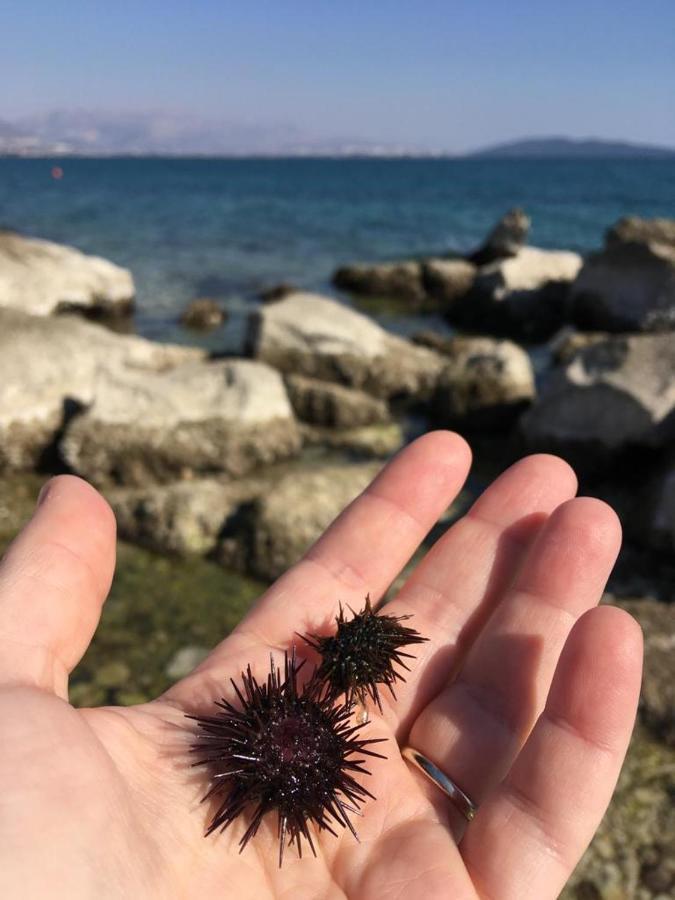 Barba Luka, Near Beach, Beautiful Views Διαμέρισμα Kaštela Εξωτερικό φωτογραφία