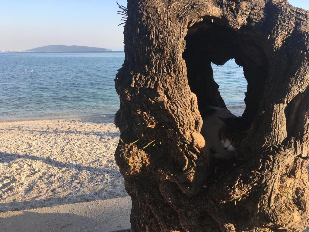 Barba Luka, Near Beach, Beautiful Views Διαμέρισμα Kaštela Εξωτερικό φωτογραφία